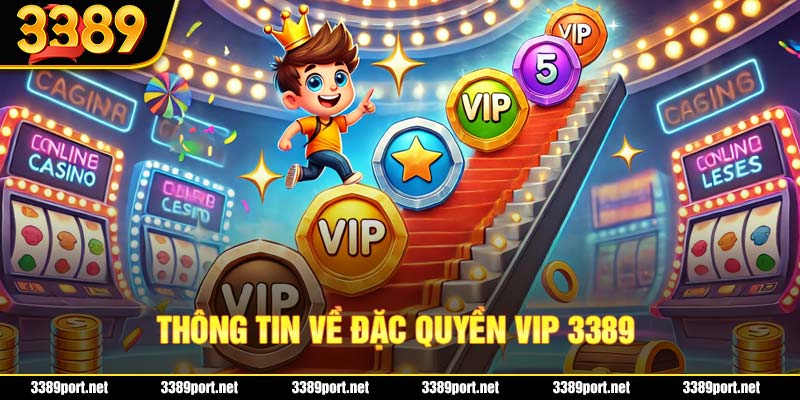 Thông tin về đặc quyền VIP 3389