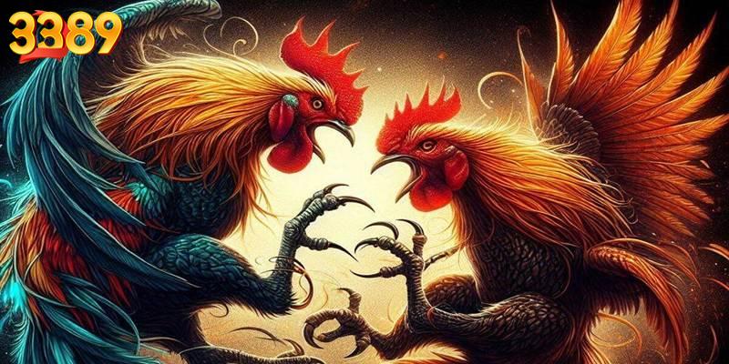 Luật chơi đá gà Thomo